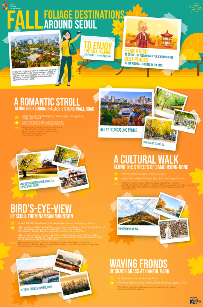 info graphics explaining on what is the best destination during fall season in Korea